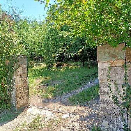 La Colline Aux Oiseaux, La Tranquillite Des Bois Villa Molieres-sur-Ceze Eksteriør bilde