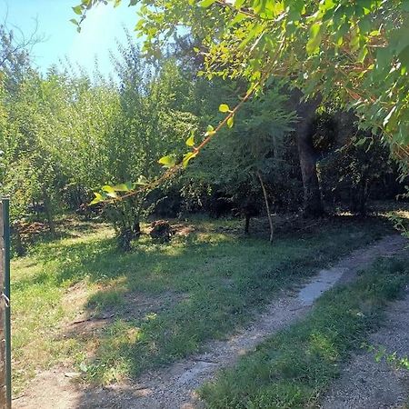 La Colline Aux Oiseaux, La Tranquillite Des Bois Villa Molieres-sur-Ceze Eksteriør bilde