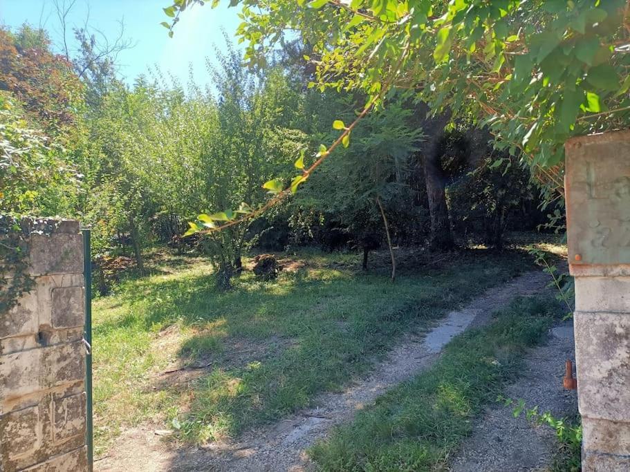 La Colline Aux Oiseaux, La Tranquillite Des Bois Villa Molieres-sur-Ceze Eksteriør bilde