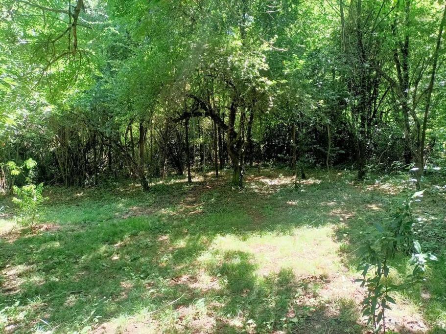 La Colline Aux Oiseaux, La Tranquillite Des Bois Villa Molieres-sur-Ceze Eksteriør bilde